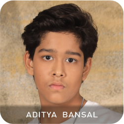 Aditya Bansal